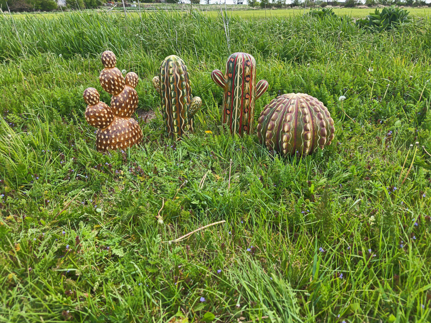 Terracotta Cactus