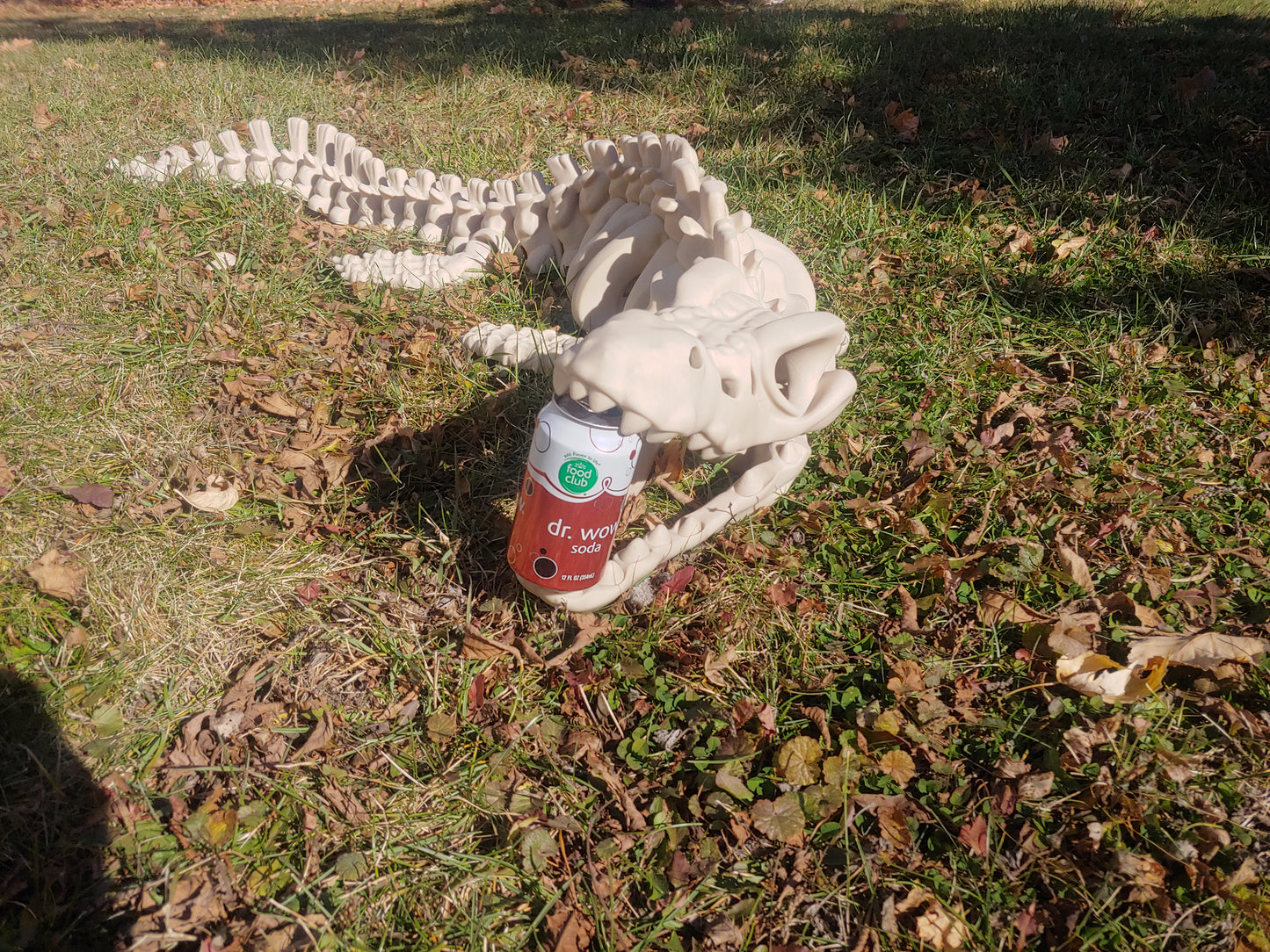 Flexi Mosasaur Skeleton