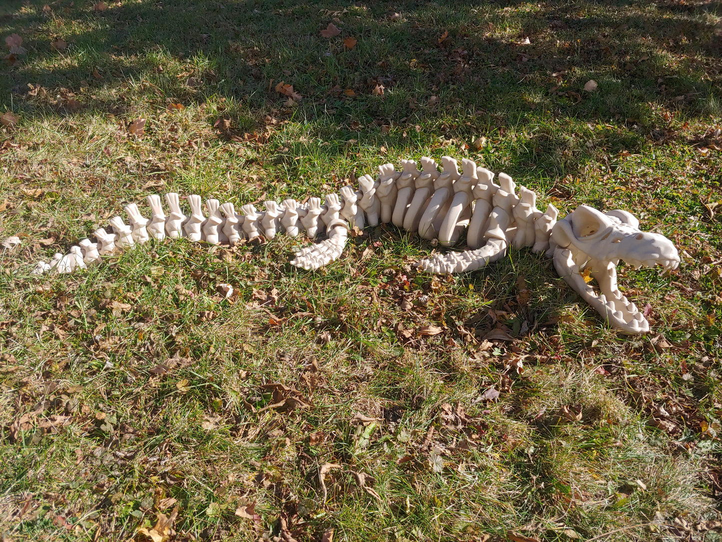 Flexi Mosasaur Skeleton