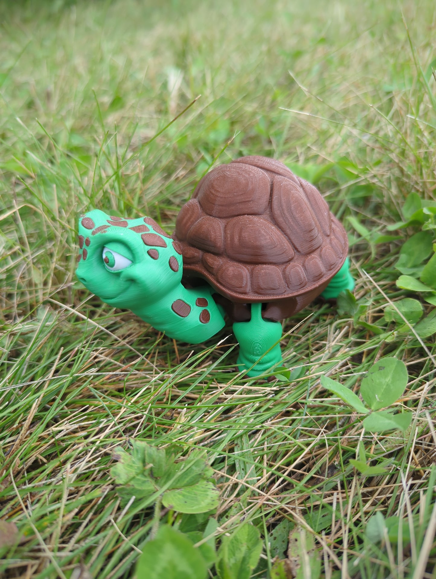 Flexi Tortise Box