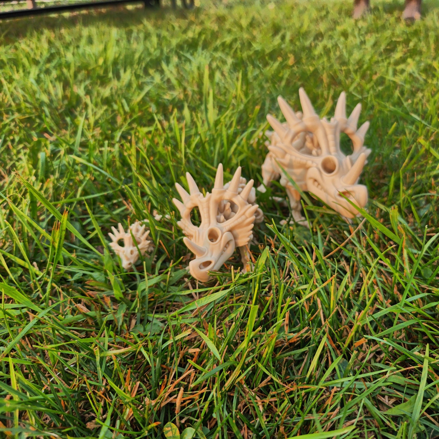 Flexi Styracosaurus Dinosaur Skeleton