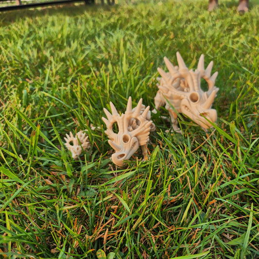 Flexi Styracosaurus Dinosaur Skeleton