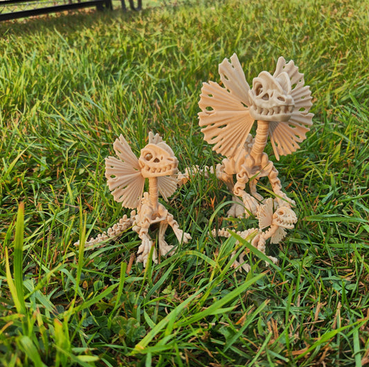 Flexi Dilophosaurus Dinosaur Skeleton