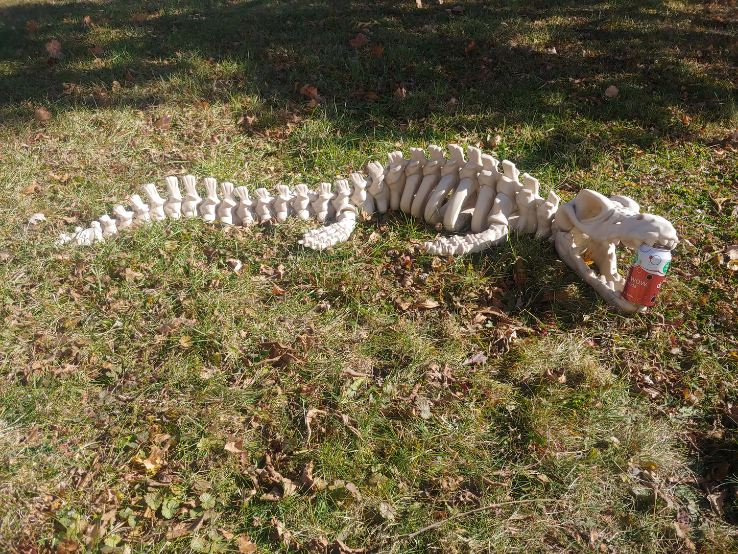 Flexi Mosasaur Skeleton