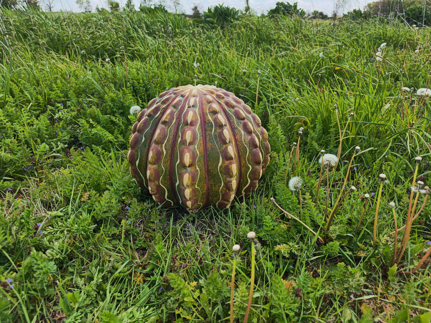 Terracotta Cactus