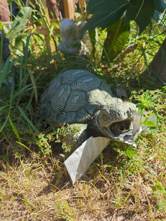 Large Turtle Spitter