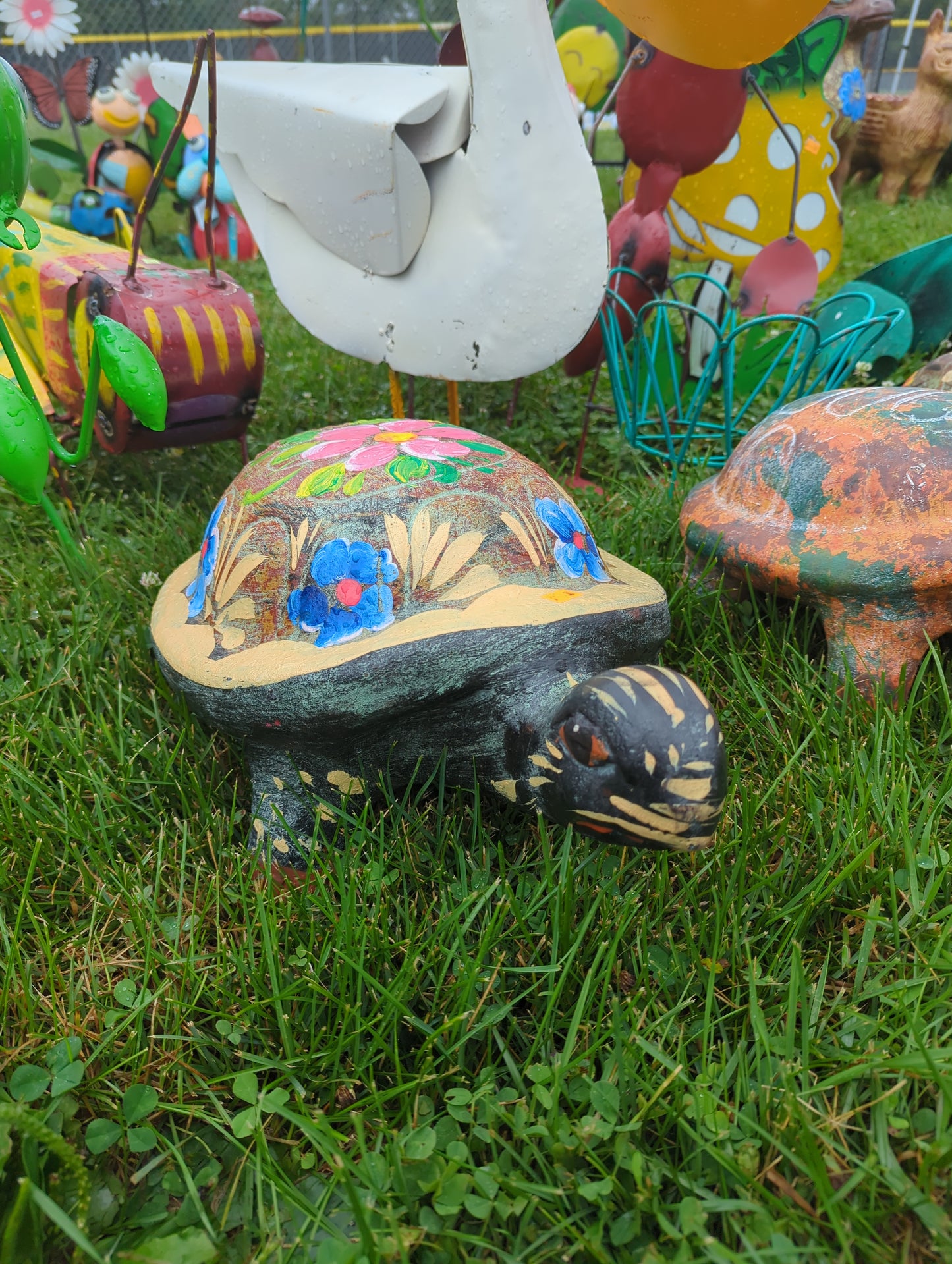 Terracotta Turtle