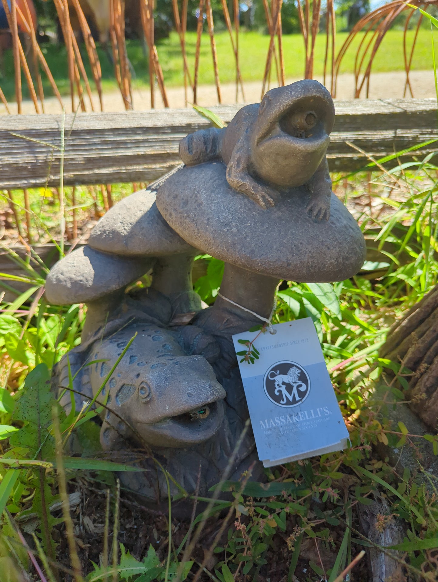 Frogs And Mushrooms Spitter