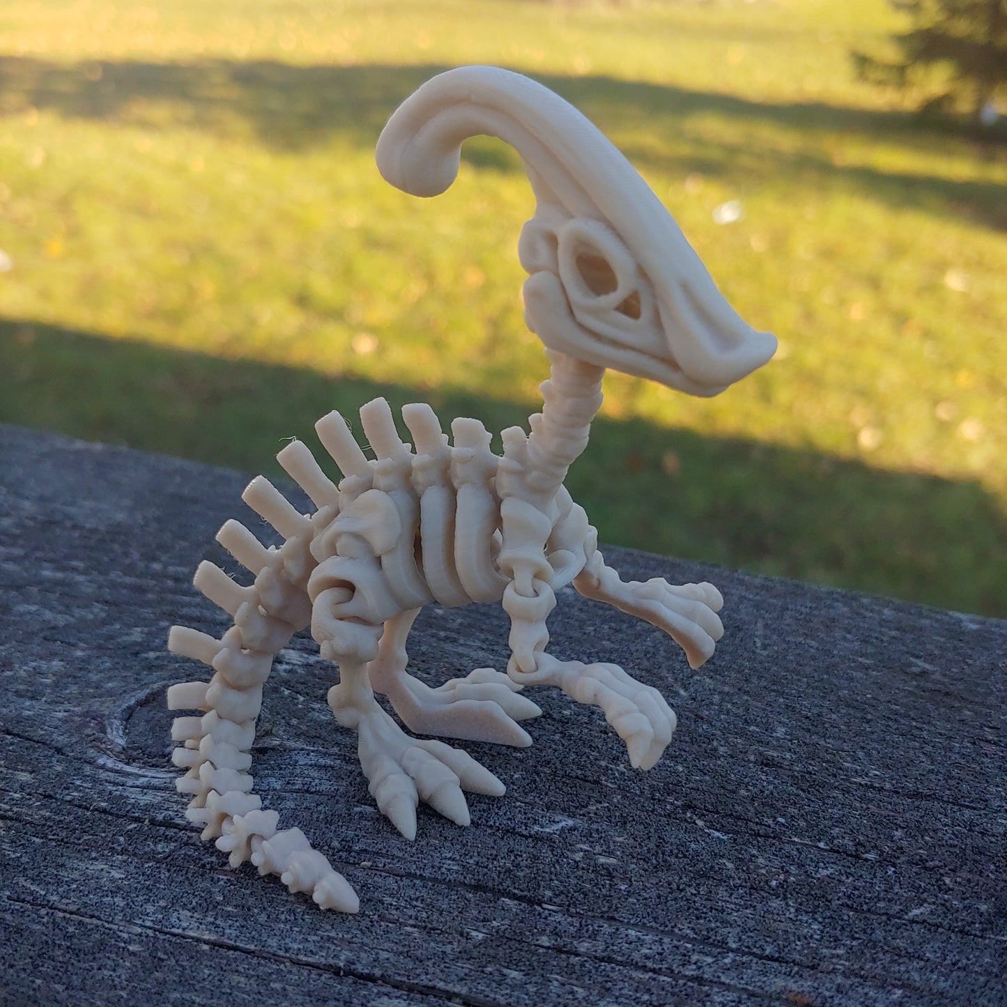 Flexi Parasaurolophus Skeleton