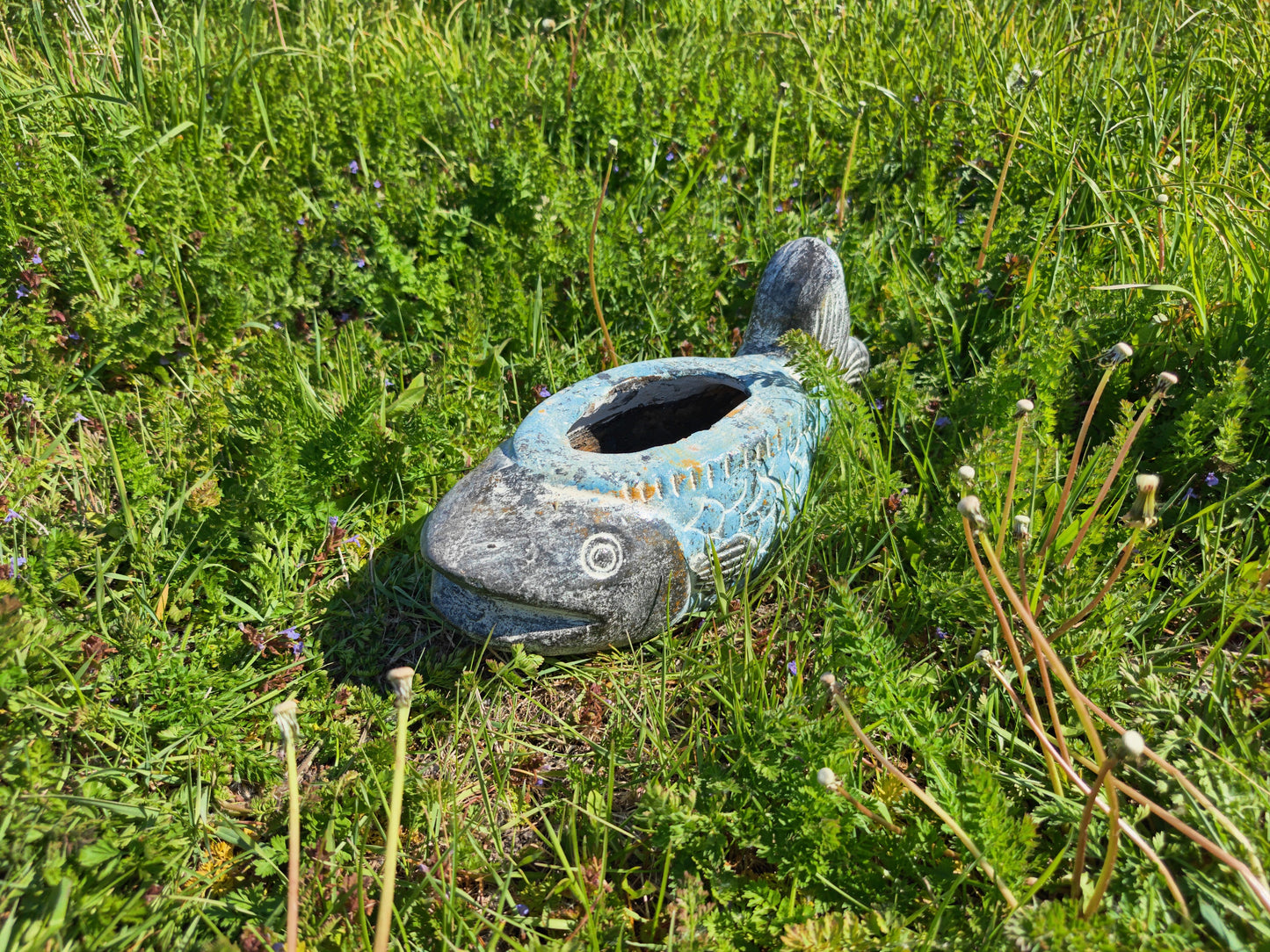 Cod Fish Planter