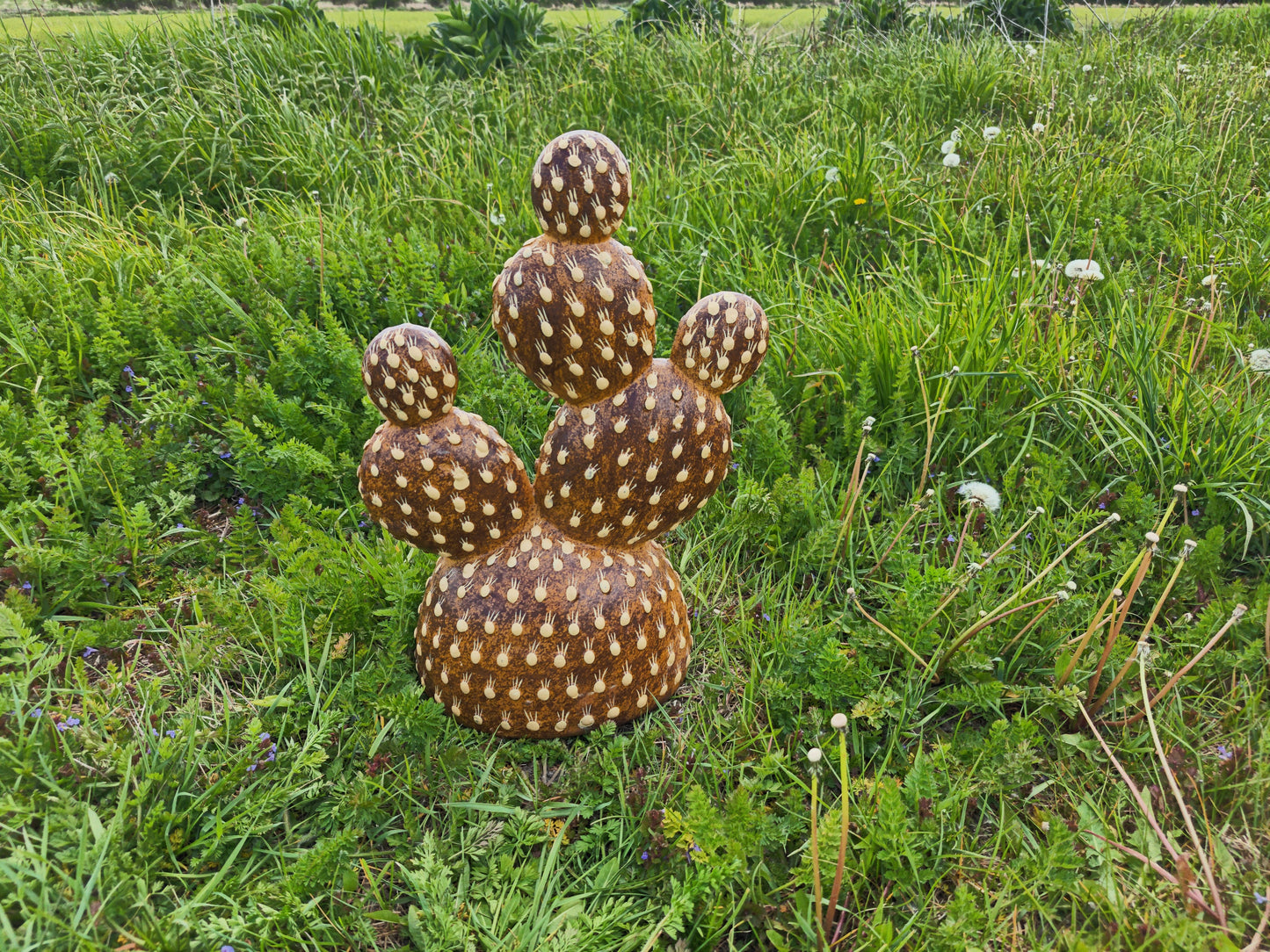 Terracotta Cactus